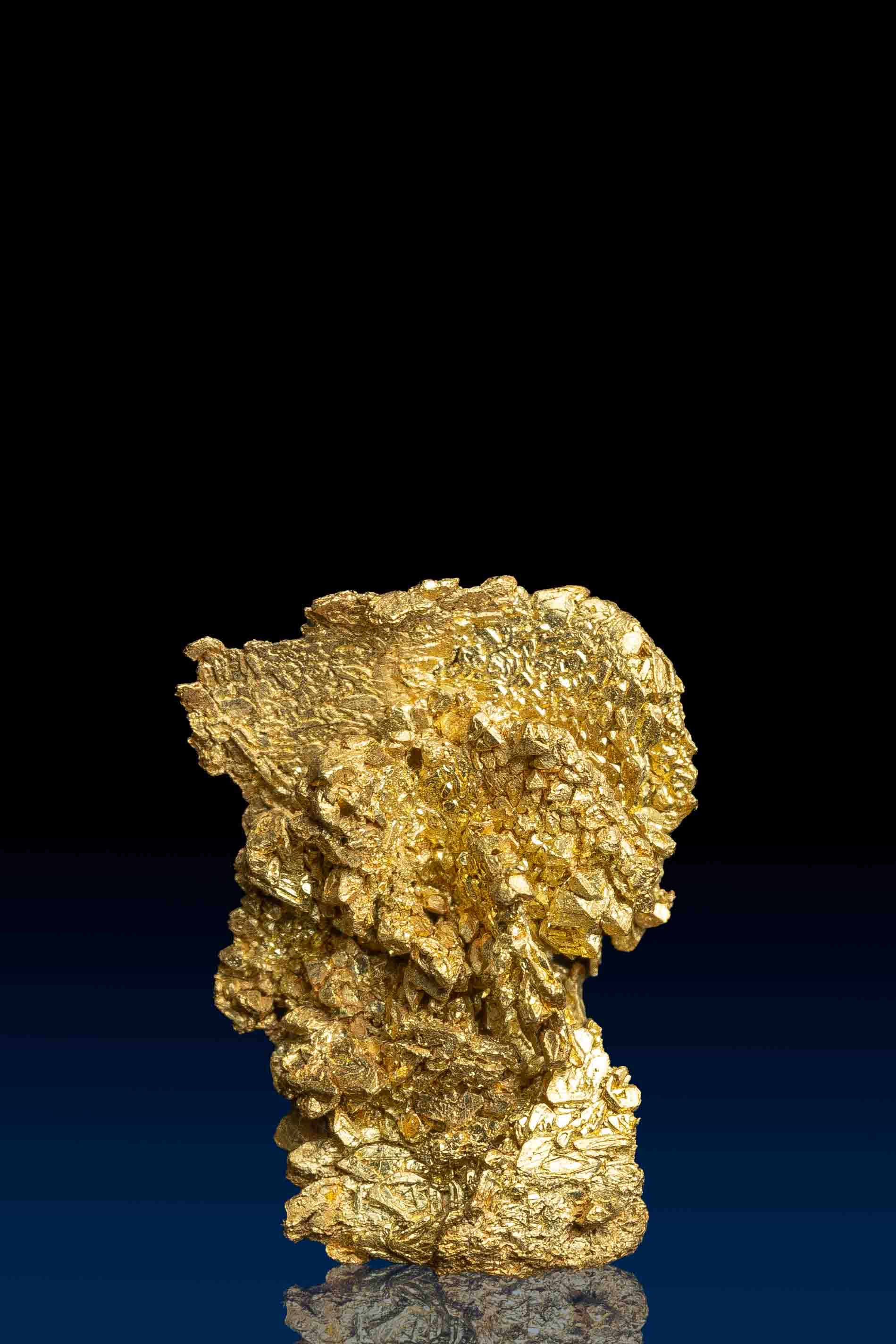 (image for) Remarkable Shiny Crystallized Gold Specimen - Farncomb Hill, Colorado